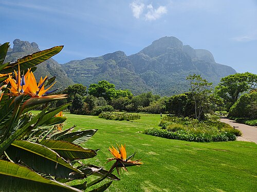 Kirstenbosch National Botanical Garden